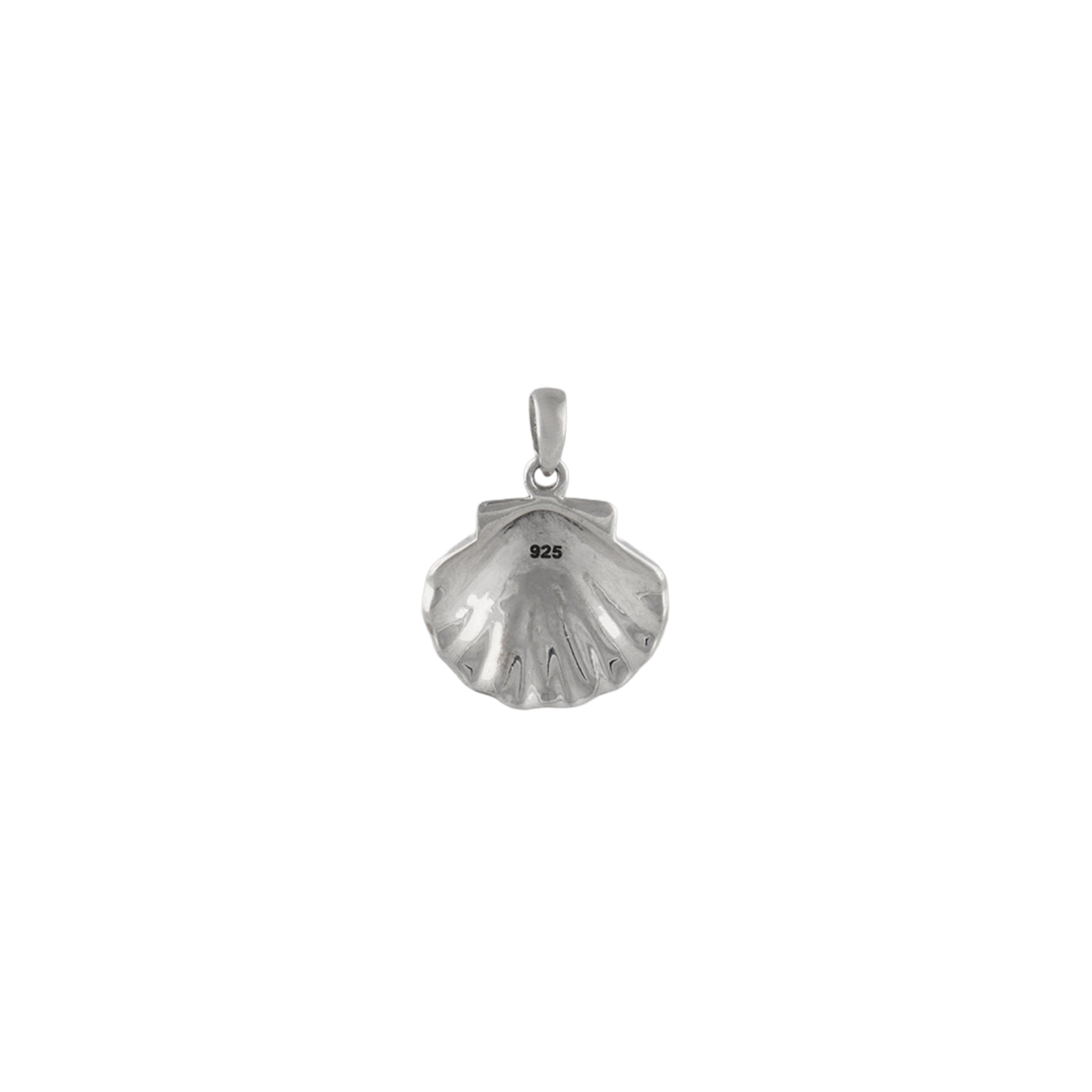 Abalone Shell pendant Pendant in 925 Silver