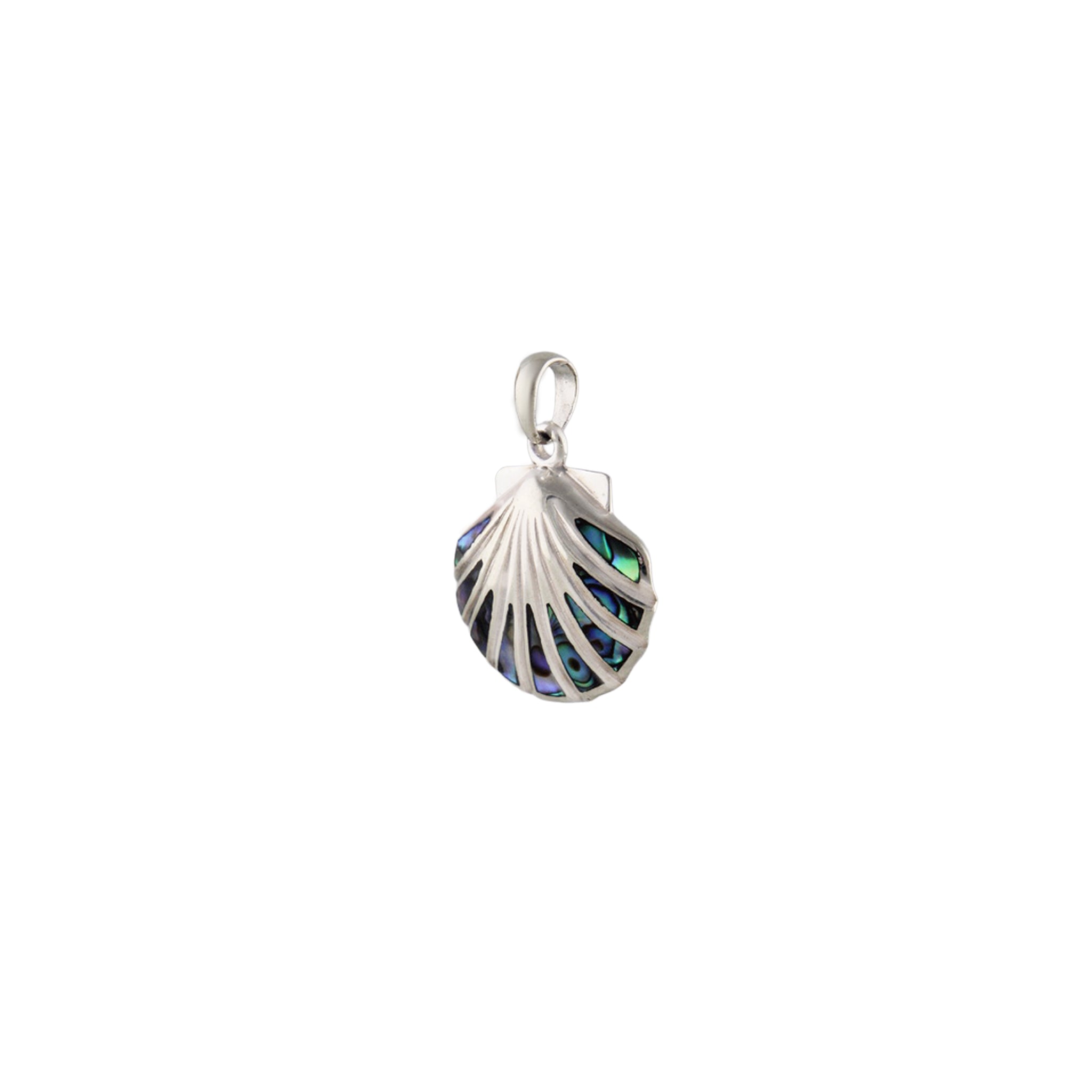 Abalone Shell pendant Pendant in 925 Silver